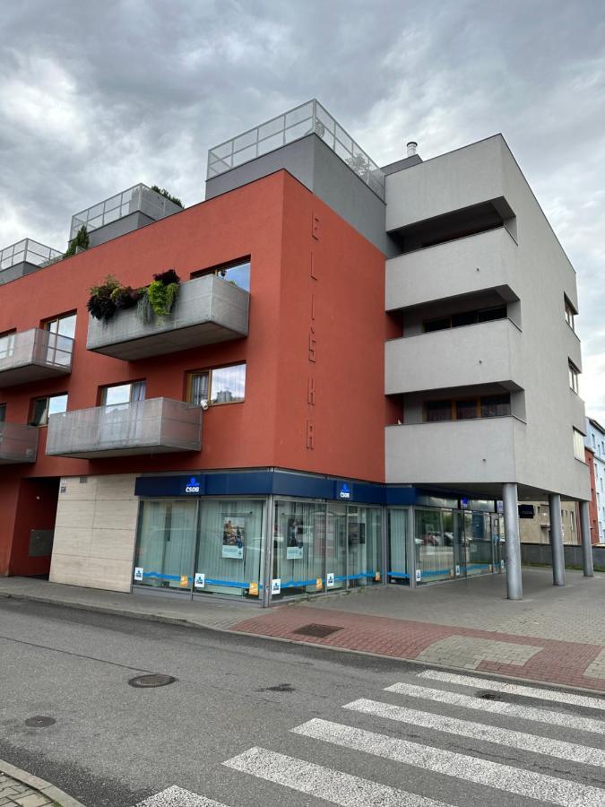 Apartments Spacilova Nearly Center Komarov Экстерьер фото